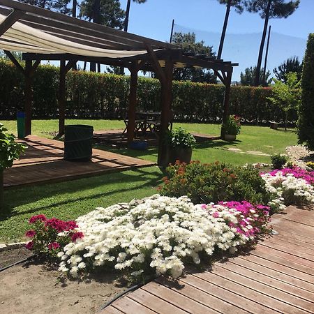 Villa De Lux With Pool Quinta do Anjo Kültér fotó